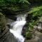Falls by the Path